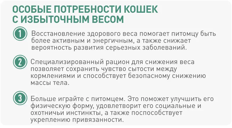 1 2 3 Восстановление здорового веса помогает питомцу быть более активным и энергичным, а также снижает вероятность развития серьезных заболеваний. Специализированный рацион для снижения веса позволяет сохранить чувство сытости между кормлениями и способствует безопасному снижению массы тела. Больше играйте с питомцем. Это поможет улучшить его физическую форму, удовлетворит его социальные и охотничьи инстинкты, а также поспособствует укреплению привязанности. *Sources: Only for dogs, FACCO SOFRES 2010  ОСОБЫЕ ПОТРЕБНОСТИ КОШЕК С ИЗБЫТОЧНЫМ ВЕСОМ