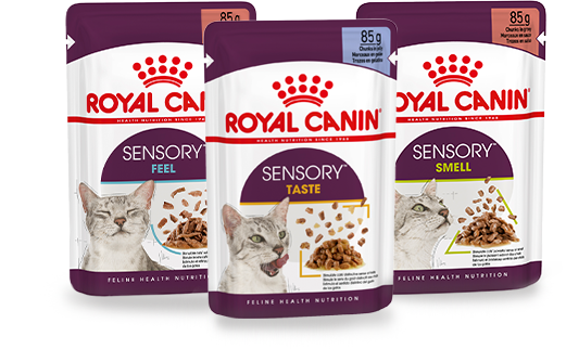 Изображение мини корма Royal Canin