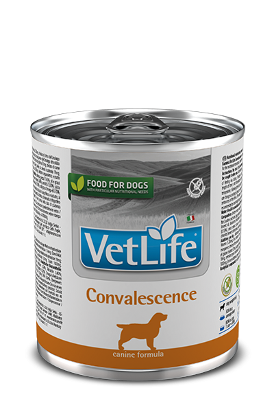 ФАРМИНА Vet Life Dog Convalescence консервы для взрослых собак в период выздоровления