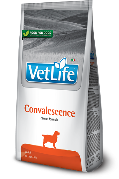 ФАРМИНА Vet Life Dog Convalescence сухой корм для собак в период выздоровления