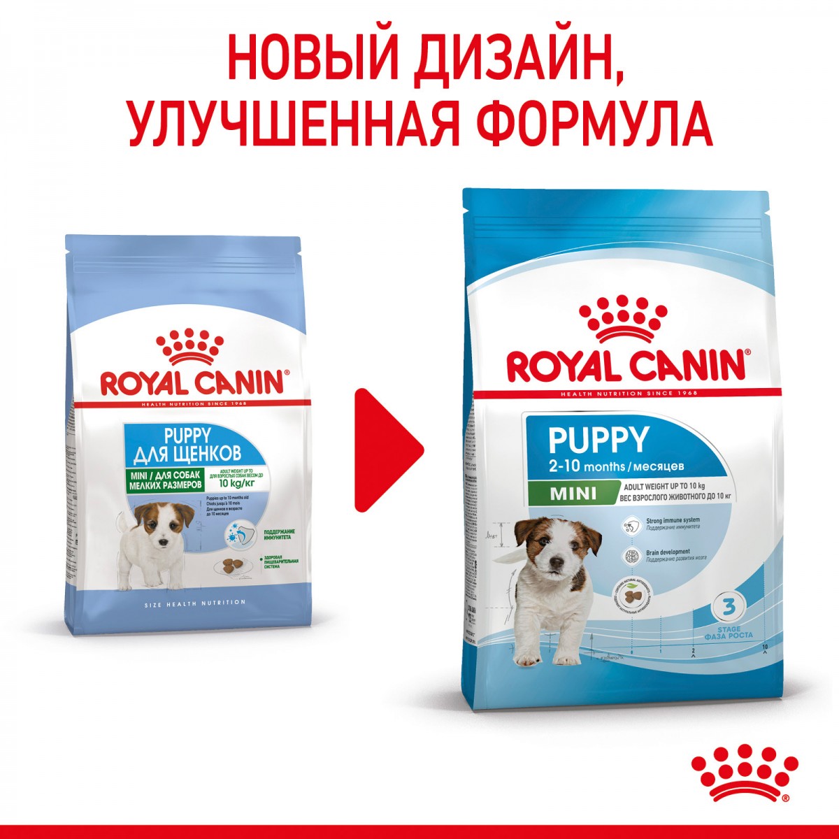 Royal Canin  Mini Puppy сухой корм для щенков мелких размеров