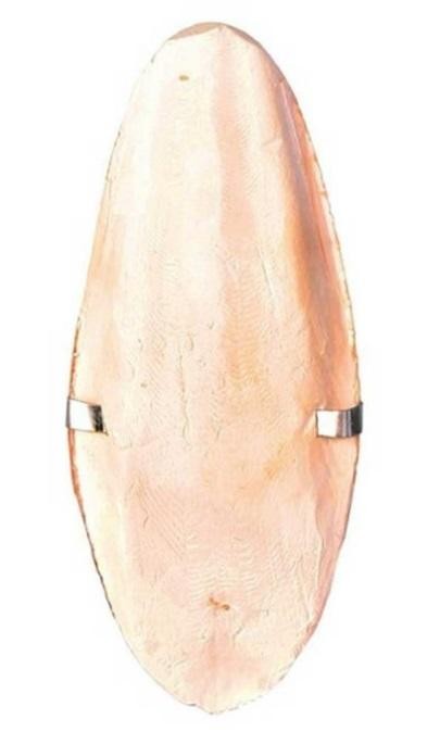 ТРИКСИ Сепия Панцирь каракатицы (маленький) 12 см