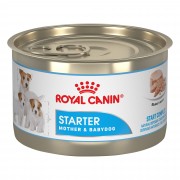Royal Canin  Starter Mousse консервы для щенков  до 2 месяцев и сук 195 гр