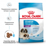 Royal Canin  Giant Starter сухой корм для щенков гигантских пород до 2 месяцев и сук 4 кг